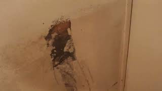 What did you patch this hole in the wall with? #diy #funny  #happy