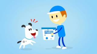 2D Character Animation Explainer Video