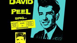 David Peel   King Of Rock'n'Roll