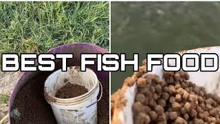 Feeding Fish Food || Best Food || Monster Jb Fishing