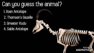 Guess The Animal Fossil #1