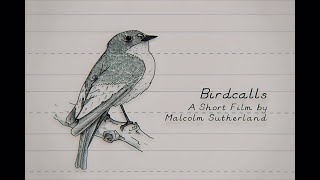 Birdcalls (2025 Remaster)