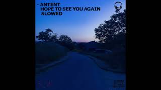 Hope to see you again. (slowed)