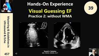 Visual Guessing EF Practice 2: without WMA