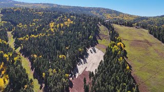 Reintoducing 🔵 Park Avenue