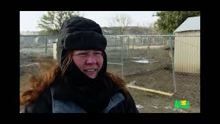 animal cops Houston s9e3￼
