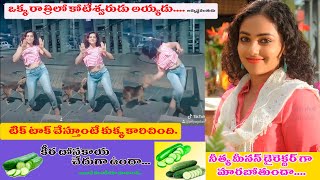Top Most interesting & knowfacts in telugu ll chitchatkiran ll tiktok ll