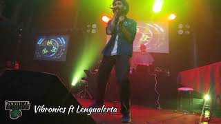 Vibronics (UK) ft Lengualerta