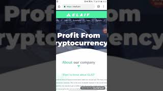 Elaine.pro 110% rub