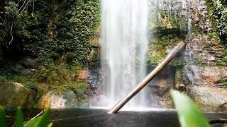 Enchanted view of waterfall in the forest with relaxing stream sound