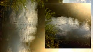 singing sorrows - by the shore or swimming