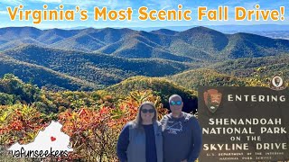Skyline Drive Fall Colors | Stunning Shenandoah National Park Views | Thornton Gap to Rockfish Gap