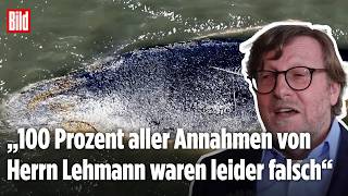 OSTSEE-WAL: Bürgermeister findet scharfe Worte für Robert Marc Lehmann