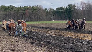 visser farms hanging out for plow days 2025
