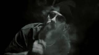 Brainorchestra - Let The Rain Speak [Prod. Big Daddy Chop] Shot by CPR / Edited by Ghost Mcgrady