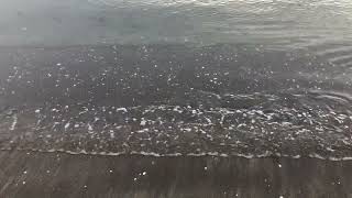 ASMR Gently Lapping Sea
