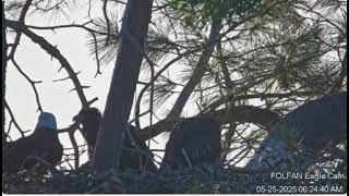 5-25-2025 Early morning breakfast