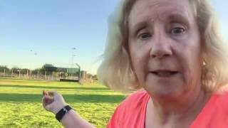 Cure for Obesity Epidemic? (July 12, 2016/Day 1319)