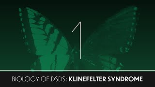 Biology of DSDs (1) Klinefelter Syndrome