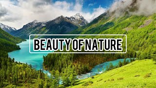 Beauty of God's Creation| Nature| Full HD Video