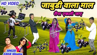 Janudi Vala Mal Maa Rina Ekali Jae जाबुडी वाला माल रीना एकली जाए Singer Amar Ninama Dancer RAHULparg