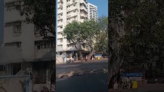 11, Walkeshwar Rd, Raj Bhavan, Malabar Hill, Mumbai, Maharashtra 400035
