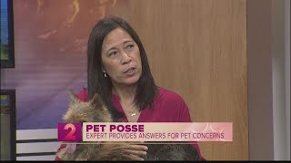 Pet Posse: Animal Behaviorist answers FAQs