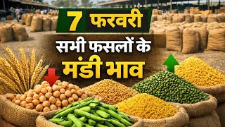 7 फरवरी मंडी भाव | सभी फसलों का आज का ताज़ा भाव | चना, ग्वार, सरसों का ताज़ा भाव