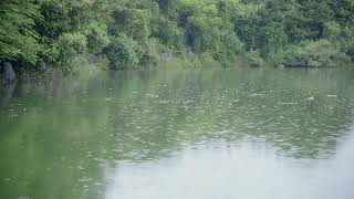 Rain on a Calm Lake 🌊 Sleep Better Instantly with Natural Water Sounds | 10 Hours Deep Sleep