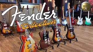 "The Collection" - Fender Guitars
