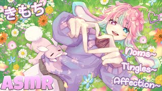 【ASMR】Headpat Thief Gives Snuggles and Tingles!~♡ Shirytonin Express! LIVE!!! [Caring for you~♡]
