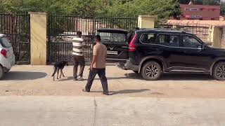 Johnny German Shepherd going hospital @Dogloverprakash