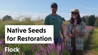 From WILD SEED to RESTORATION: Inside Pinelands NATIVE PLANT Nursery — Ep. 351