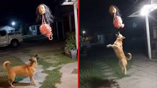 These VIDEOS Shook the WORLD! Real Footage That is IMPOSSIBLE to Explain