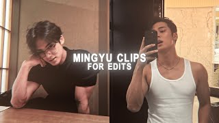 mingyu clips for edits #1