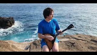 Chervona Kalyna Live in Hawaii (Червона Калина) - Denys Kinchev (arrang A.Stuk, D. Kinchev) 