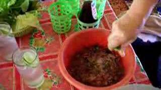 Jumping Shrimp (1 of 2)