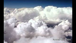 Amidst The Calm.avi