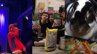plant dad, bunny dad, concert goer