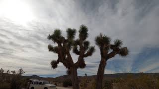 Joshua Tree National Park Cloud Timelapse 2/13/2021