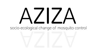 AZIZA Programme