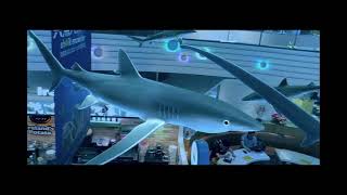 全台首個5G x AR大型戶外表演秀「shARk encounter 與鯊共舞在清水」特展介紹- ✨第四區：極速領域   Speed Drifters