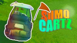 Sumo Cartz