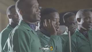 Mercy Of God - Siyabonga Ukusethwala || 2024 ||