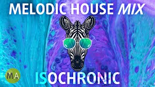 Peak Focus Melodic House (Zebra Mix) with Beta Wave Isochronic Tones