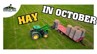 LATEST HAY WE'VE EVER MADE
