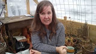 Why we garden/homestead challenge