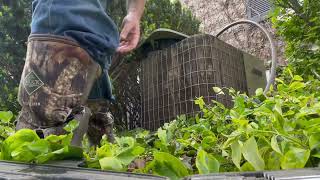 How to Clean Your AC for Free