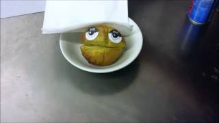 Mr potato