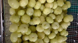 Karamay Or Star Gooseberry Fruit… How to clean it and preserve it?